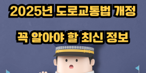 2025년 도로교통법 개정, 꼭 알아야 할 최신 정보